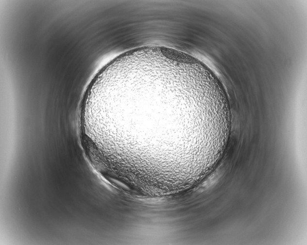 X0000087061048200705021213