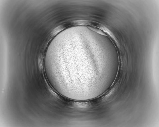 X0000087061049200705021213