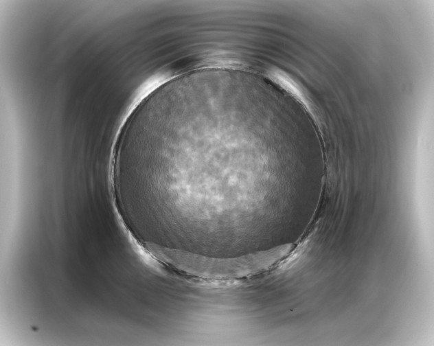 X0000087061050200705021213