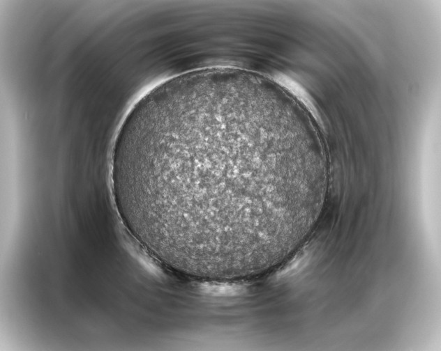 X0000087061051200705021213