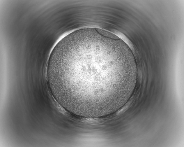 X0000087061052200705021213