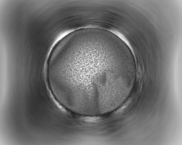 X0000087061053200705021213