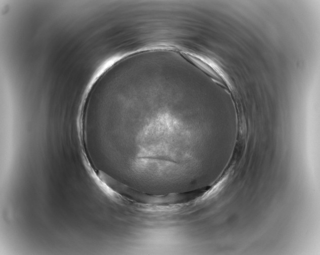 X0000087061054200705021213