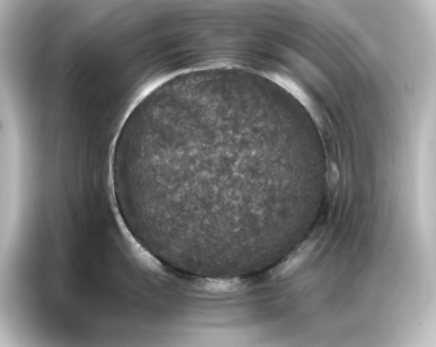 X0000087061055200705021213