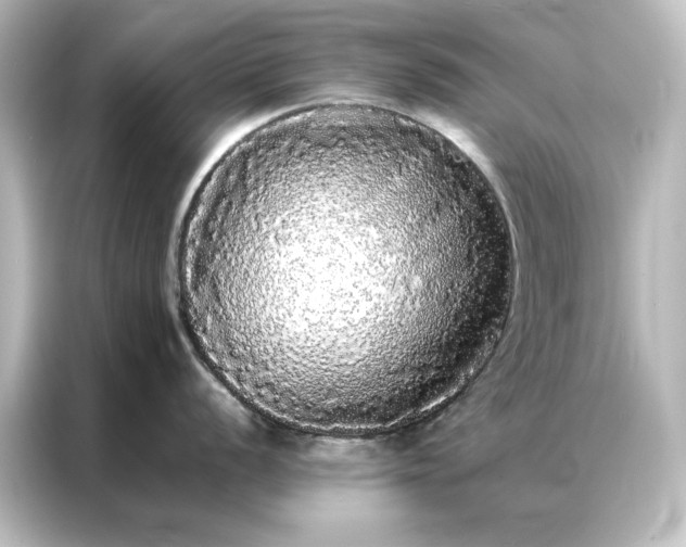 X0000087061056200705021213