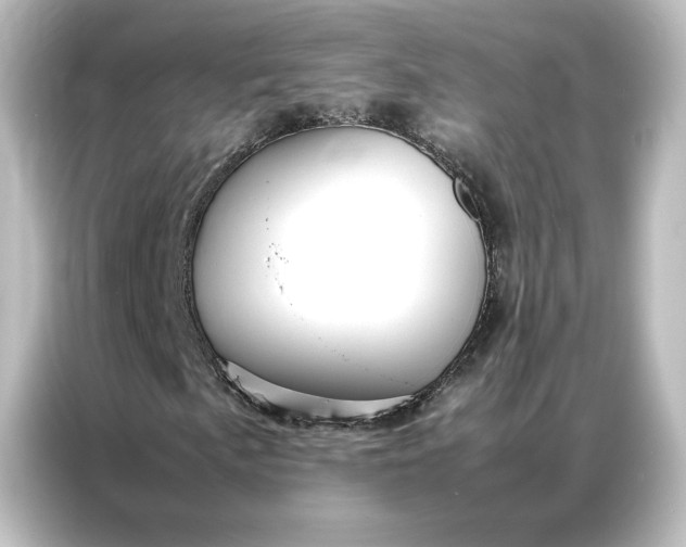 X0000087061057200705021212