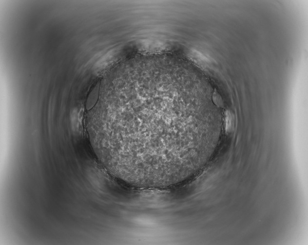 X0000087061059200705021212