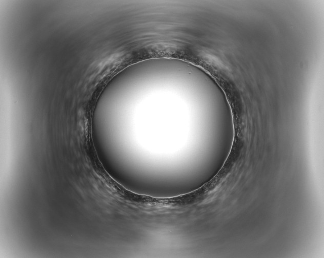 X0000087061061200705021212