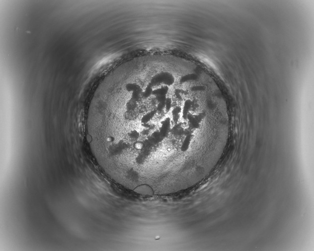 X0000087061063200705021212