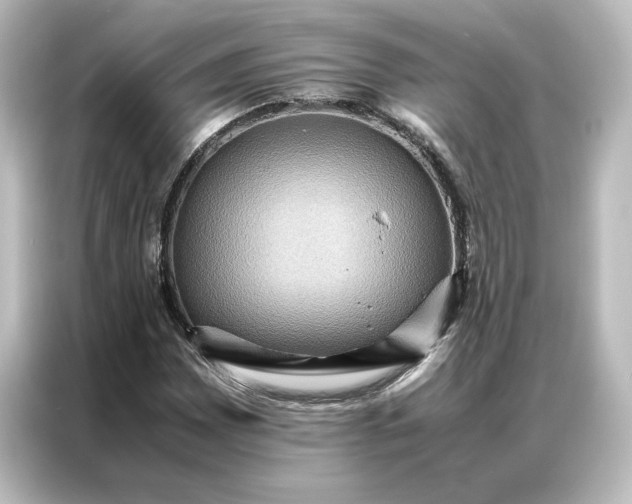 X0000087061065200705021212