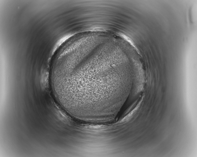 X0000087061066200705021212