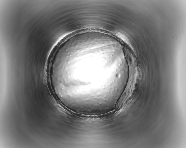 X0000087061068200705021212