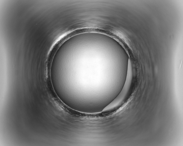 X0000087061069200705021212