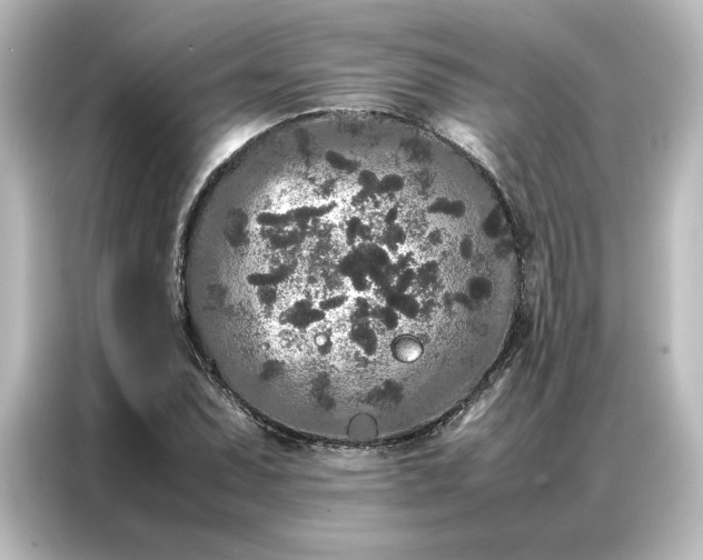 X0000087061071200705021212