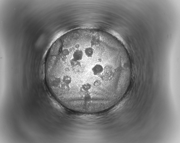 X0000087061075200705021212