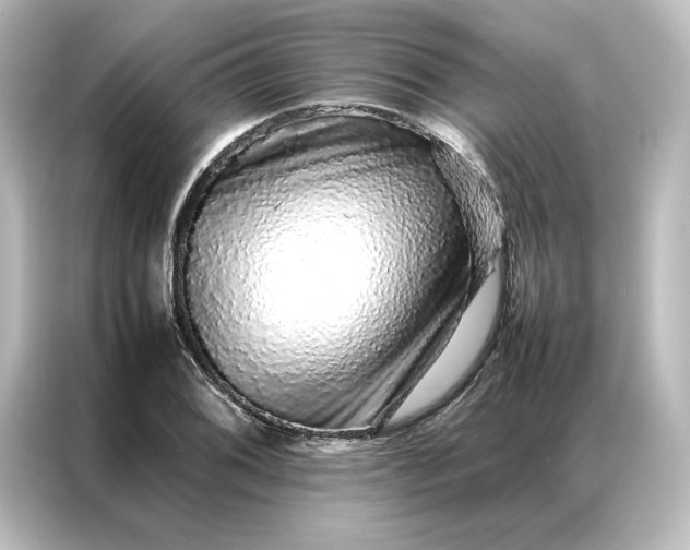 X0000087061076200705021212