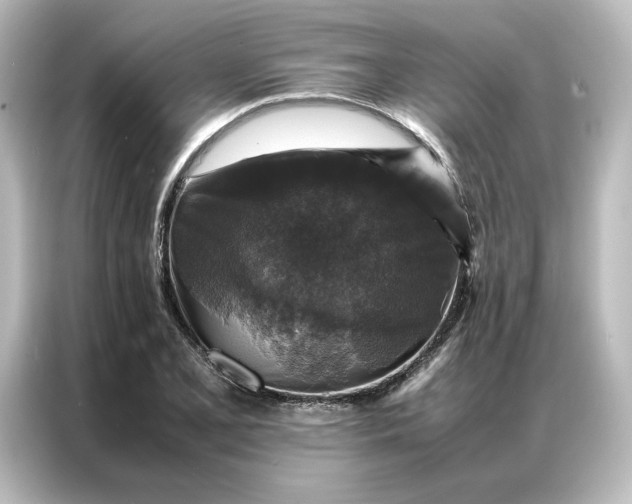 X0000087061077200705021212