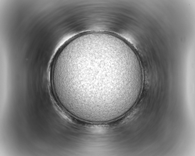 X0000087061078200705021212