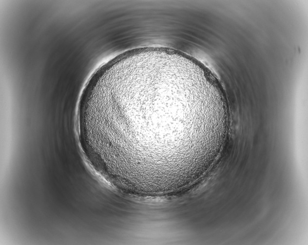 X0000087061080200705021212