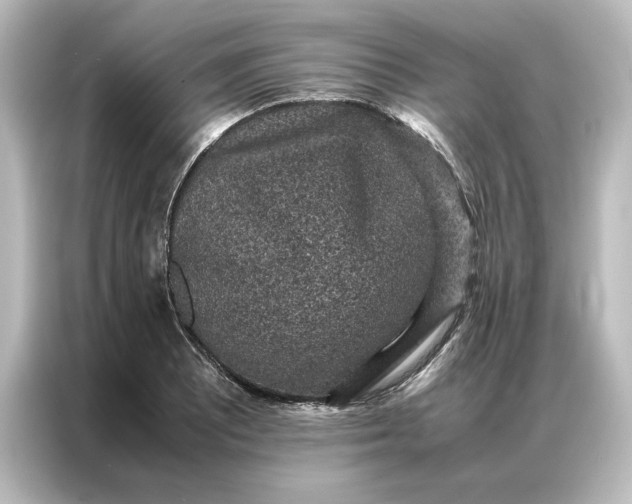 X0000087061081200705021212