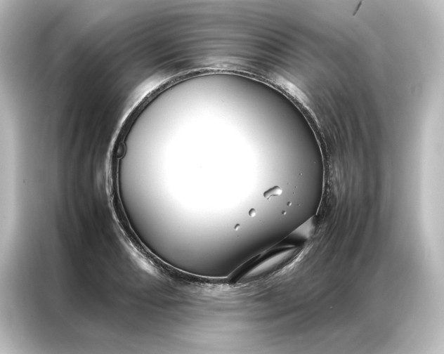 X0000087061082200705021212