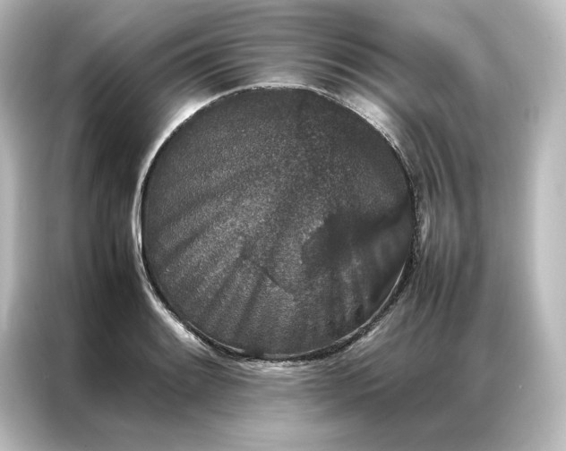 X0000087061084200705021212