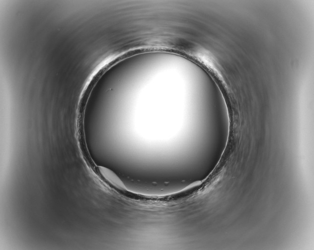 X0000087061085200705021212