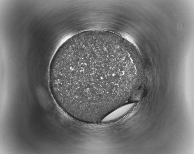 X0000087061087200705021212