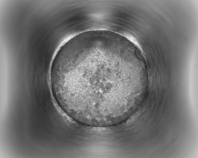 X0000087061088200705021212