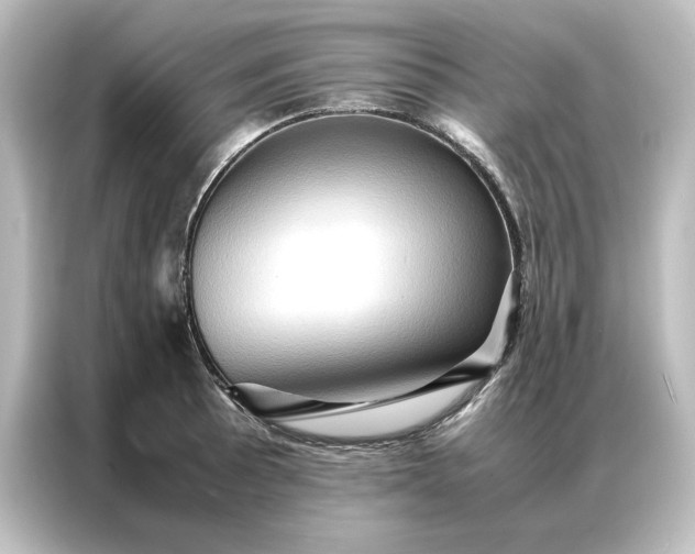 X0000087061089200705021212