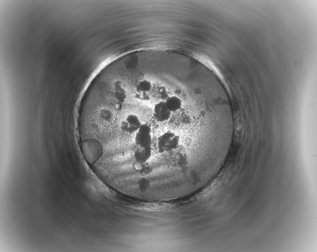 X0000087061091200705021212