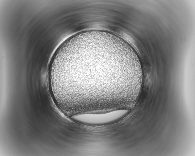 X0000087061092200705021212