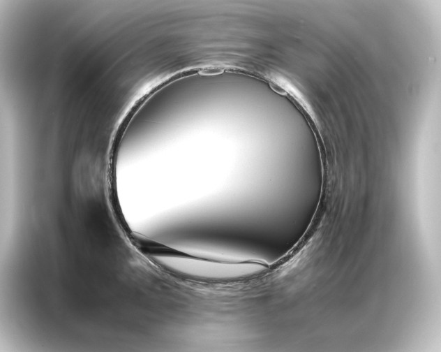 X0000087061093200705021212