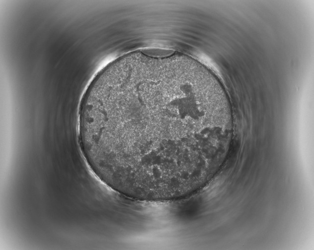 X0000087061095200705021212