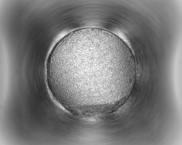 X0000087061096200705021212