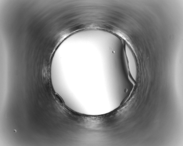 X0000087061097200705021212