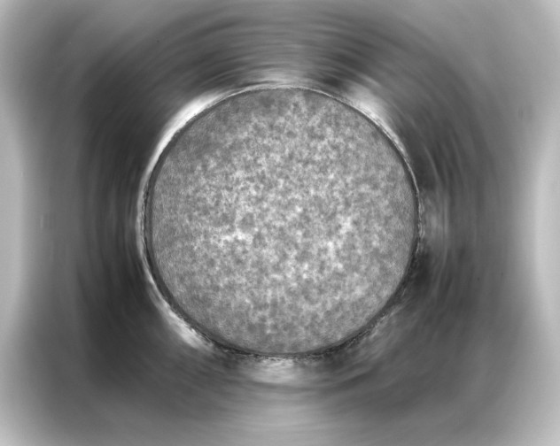 X0000087061098200705021212