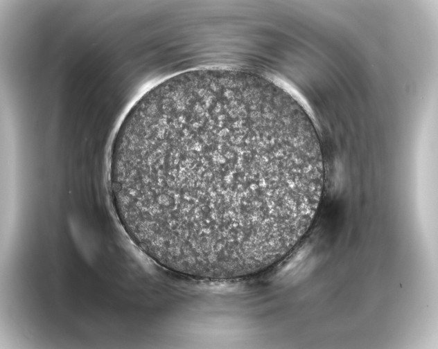 X0000087061099200705021212