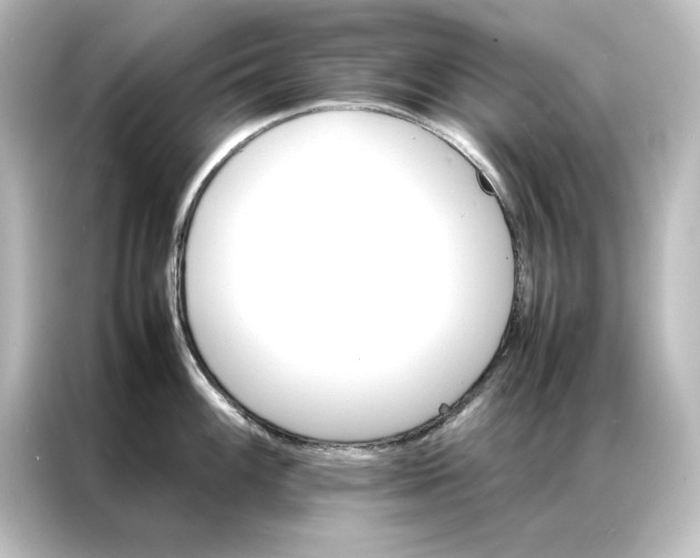 X0000087061100200705021211