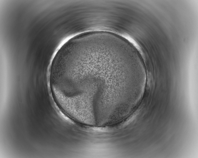 X0000087061102200705021211