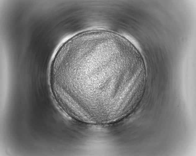 X0000087061104200705021211