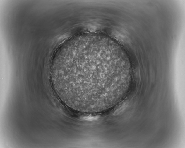 X0000087061105200705021211