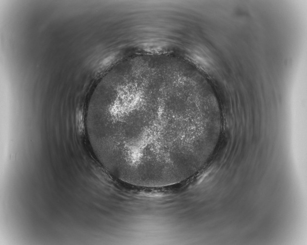 X0000087061106200705021211