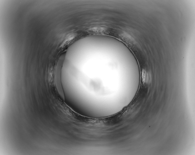 X0000087061107200705021211