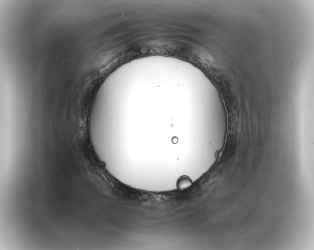 X0000087061109200705021211