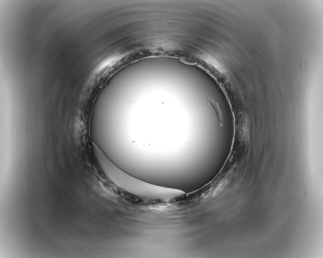 X0000087061112200705021211