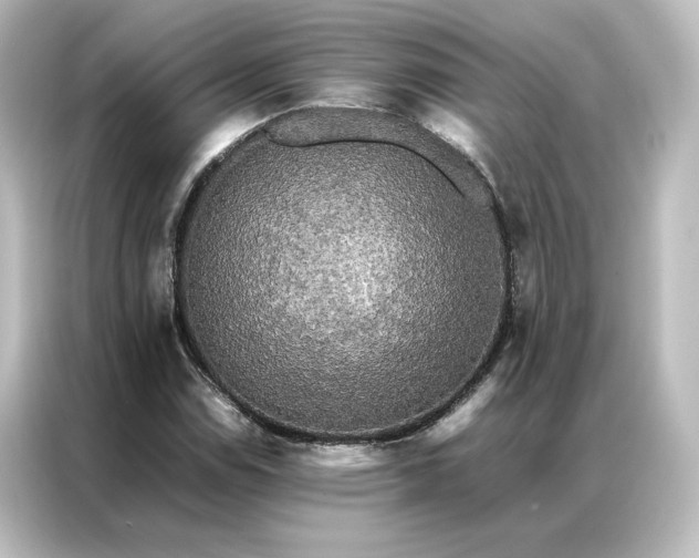 X0000087061114200705021211