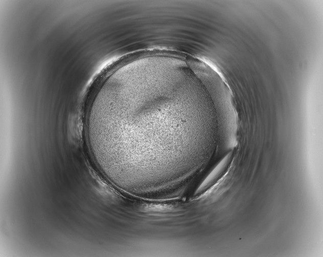 X0000087061115200705021211