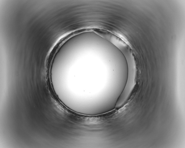 X0000087061116200705021211