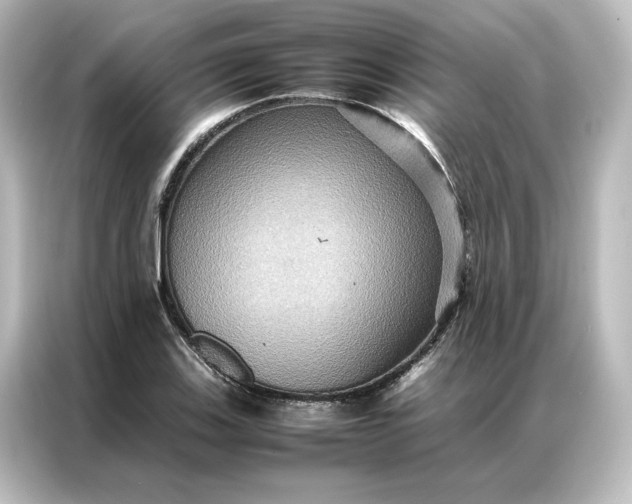 X0000087061123200705021211